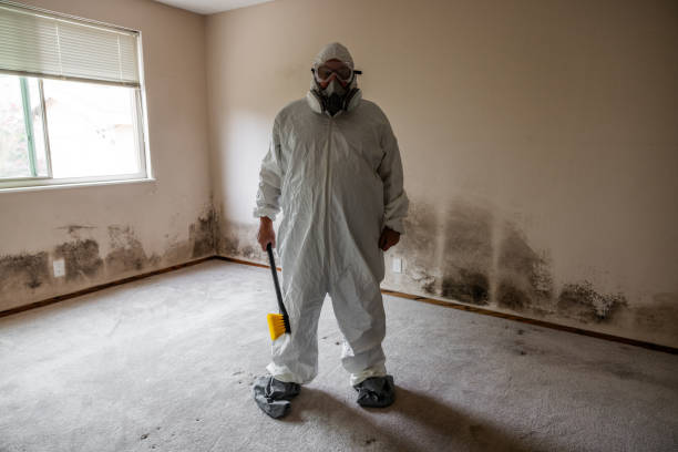 Mold Documentation for Insurance Claims in Port Sulphur, LA